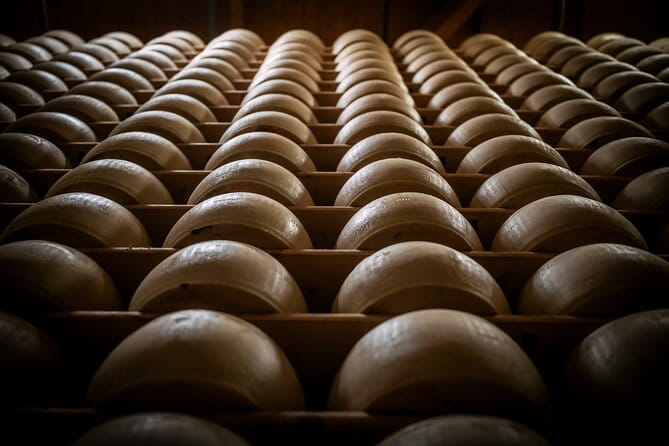 Parmigiano and Culatello Private Tour with Lunch and Farm Visit - Key Points / Takeaways