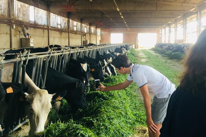 Parmigiano Reggiano & Balsamic Vinegar Private Tour and Tasting - Explore Parmigiano Reggiano