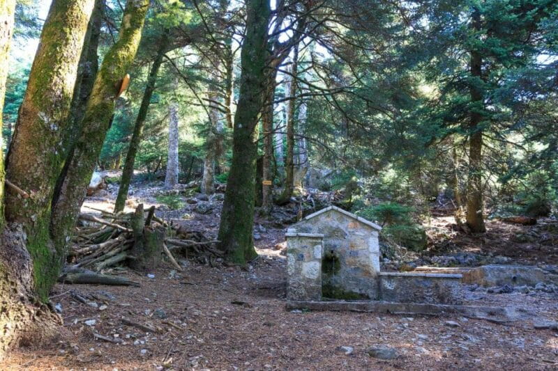 Parnitha (Parnis) / Skipiza & Mola loop - Hike near Athens - Entering the Forest: The Itinerary in Detail