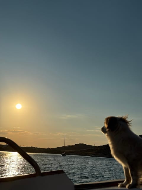 Paros: Highlights Tour with Fishing & Tasting in Naoussa - The Sunset Cruise Option: A Romantic Twist