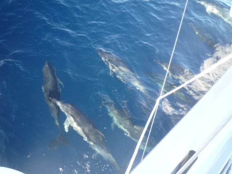 Paros: Iraklia, Schinoussa, & Naxos Sailing Tour with Lunch - Pricing & Value