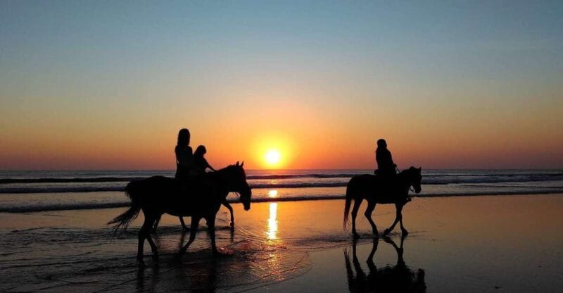 Paros: Morning Island Horseback Riding Adventure - Key Points / Takeaways