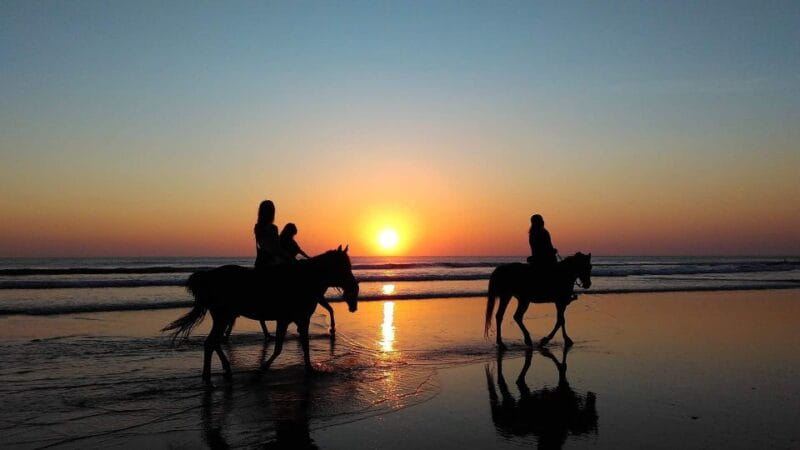 Paros: Morning Island Horseback Riding Adventure - FAQs