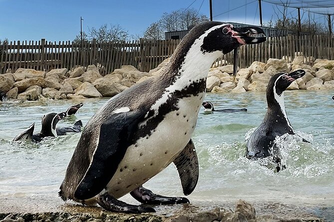 Parrot World Immersive Wildlife Park Entry Ticket Next to Paris - Dining Options