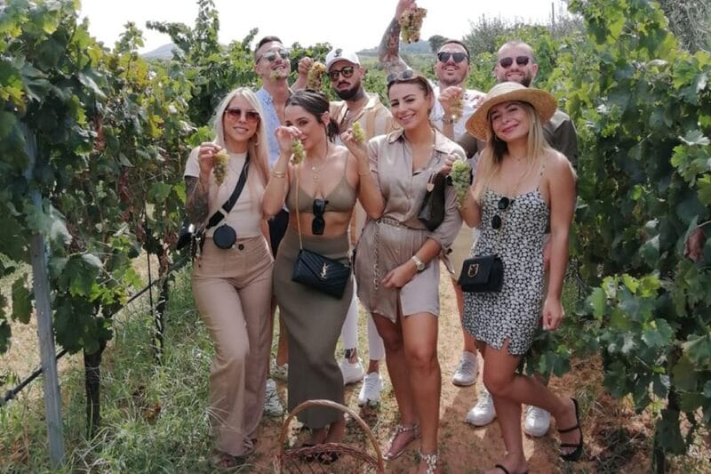 Partinico:Grape harvest in the lands of FrederikII of Swabia - Brunch with Sicilian Flavors: ATrue Taste of the Land