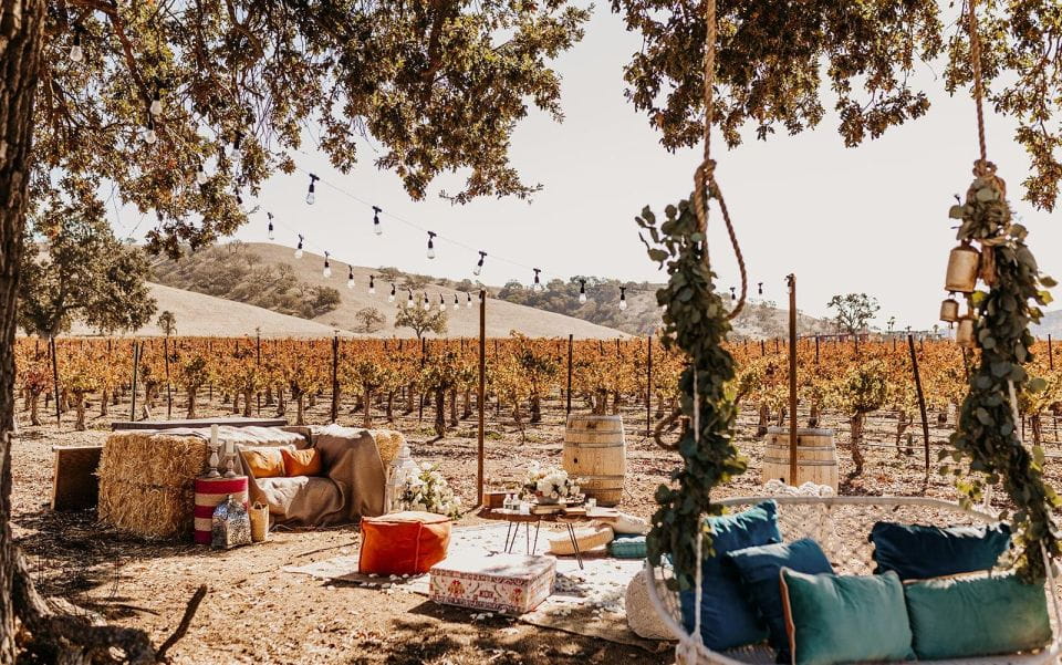 Paso Robles: After Hours Winery Tour + Wine & Cheese Picnic - Cooler With Water for Refreshment