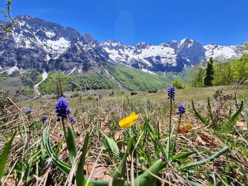 Pass Valbona - Theth: Albanian Alps in a 3-Day Trip - Transportation, Guides, and Support