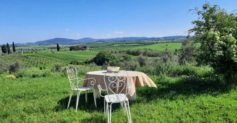 Passeggiando nell'uliveto: come nasce l'olio extrav d'oliva? - Key points / Takeaways