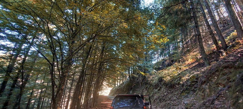 Passeio Guiado em 4x4 para conhecer a Serra da Estrela - An Introduction to the Experience: Nature, Comfort, and Good Vibes