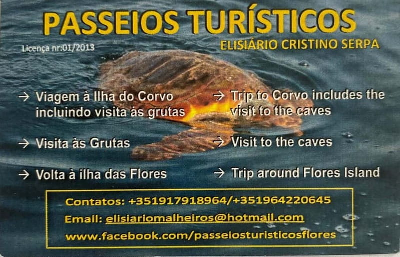 Passeios Turísticos: Trip to Corvo by Boat - Key Points / Takeaways