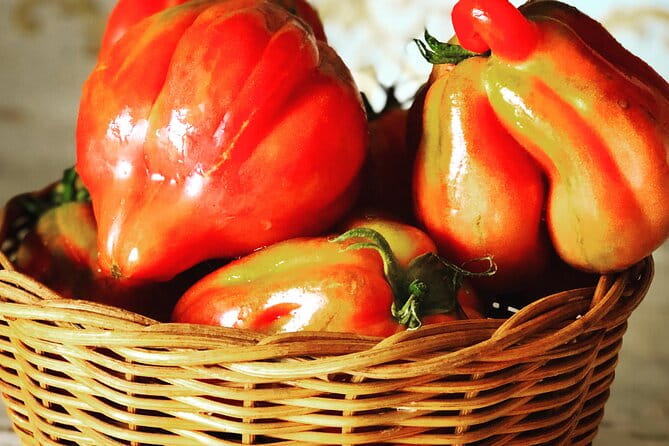 Pasta and Pizza cooking class in Cortona - Learning Practical Skills for Home