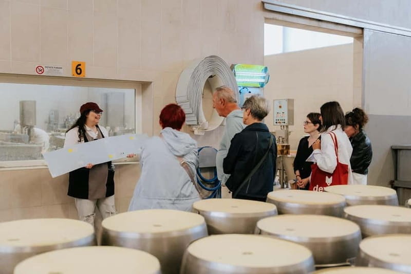 Pasta Class with Parmigiano & Balsamic Tour from Bologna - Key Points / Takeaways