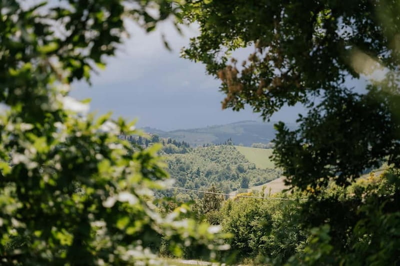 Pasta Class with Parmigiano & Balsamic Tour from Bologna - Final Thoughts