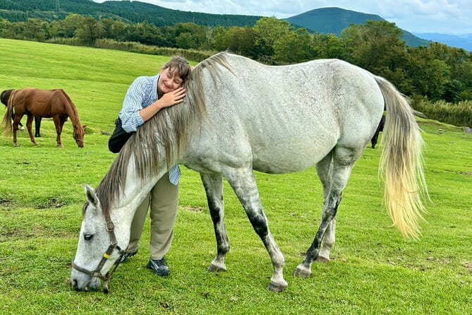 Pasture Hike With Horse Whisperer at Horse Trust in Kagoshima - Key Points