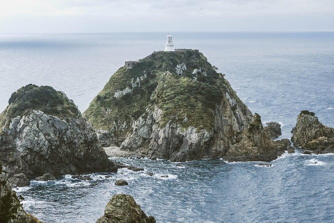 Pasture Hike With Horse Whisperer at Horse Trust in Kagoshima - Reviews From Fellow Travelers