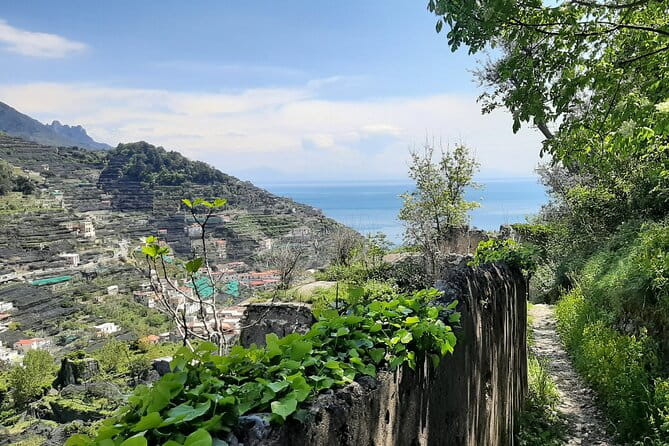 Path of the Lemons - Key Points and Takeaways