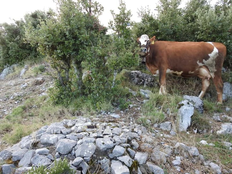 Paths of the Gods Alto - Practicalities and Logistics