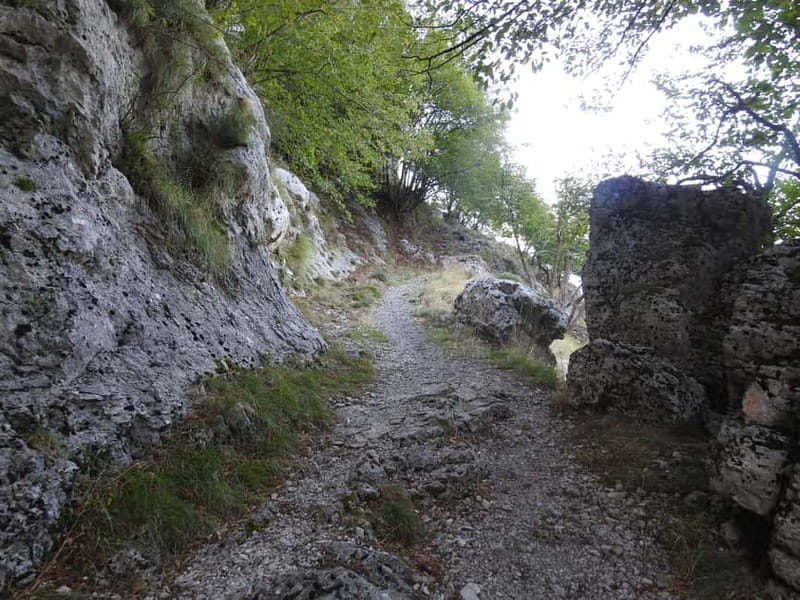 Paths of the Gods Alto - Price and Value