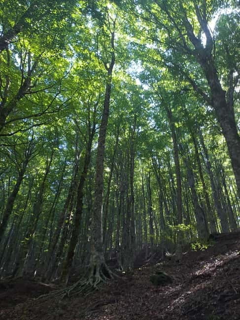 Paths of the Gods Alto - Final Thoughts