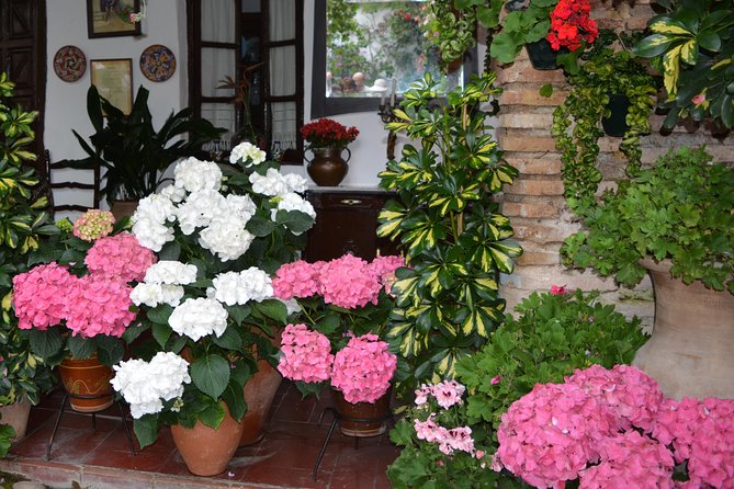 Patios & Perfumes of Cordoba Festival Tour - Meeting and End Points