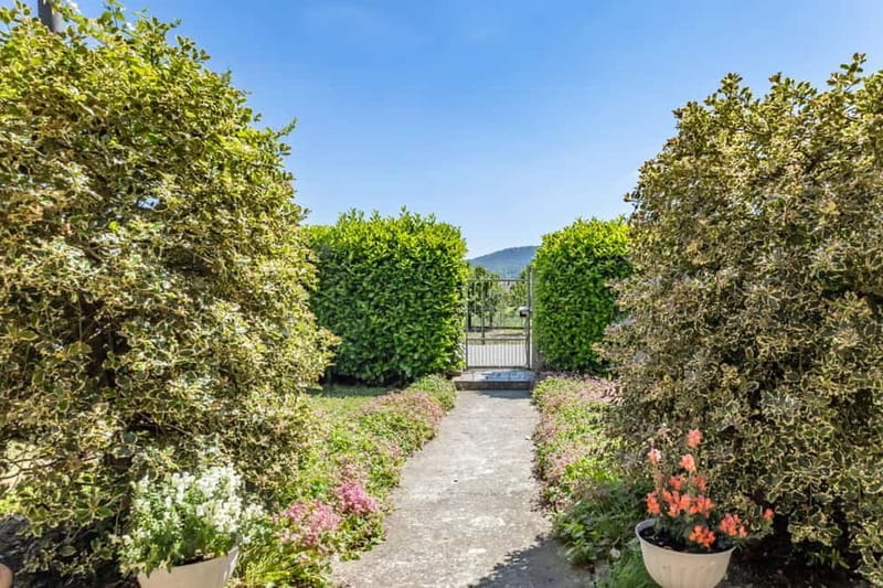 Pavia: Dining Experience at a Local's Home - What’s Included and How It Works