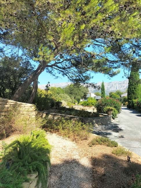 Peaceful Countryside Day : vineyards, food & villages - Price and Logistics