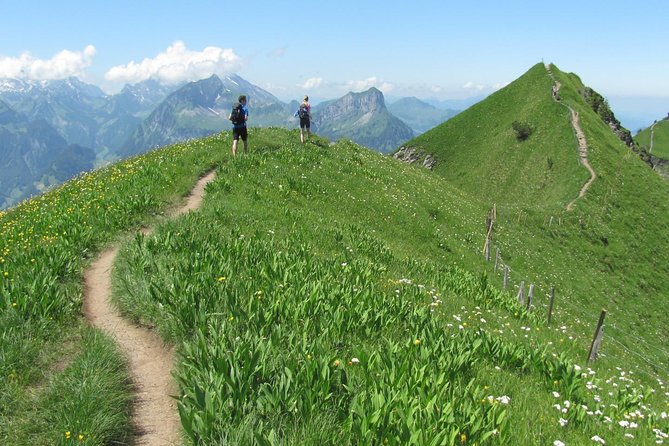 Peak to Peak Private Hiking Tour From Lucerne - Inclusions and Logistics
