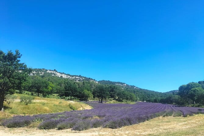 Pearls of Luberon : Gordes, Rousillon & Sénanque Abbey - Key points / Takeaways
