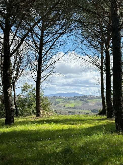 Peccioli: Painting Experience with Wine and Snacks - The Sum Up