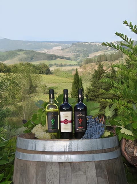Peccioli: Wine tasting experience - Who Will Love This Experience?