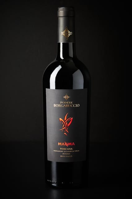 Peccioli: Wine tasting experience - Price and Logistics: Good Value