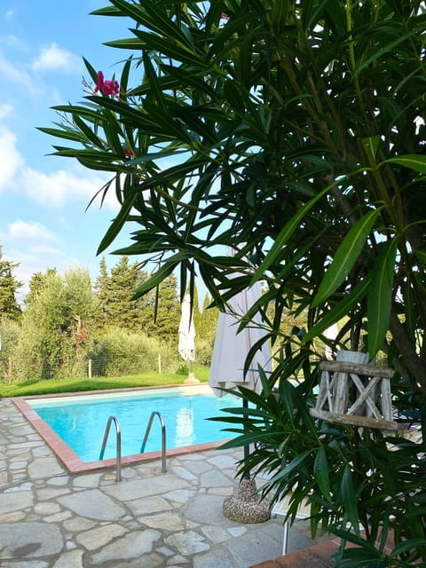 Peccioli: Wine tasting experience - Final Thoughts: Who Will Find This Most Rewarding?