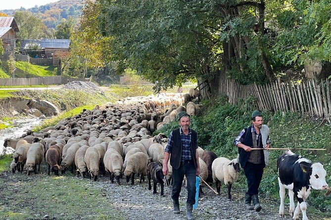 Peles castle and authentic Romanian village experience - day trip - The Authentic Village of Valea Doftanei: A Step Back in Time