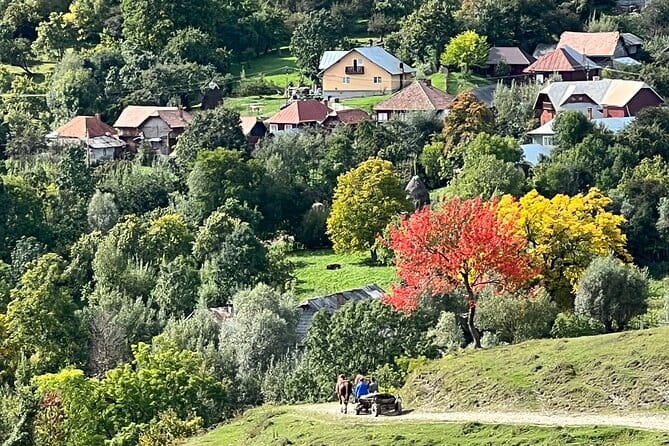Peles castle and authentic Romanian village experience - day trip - Who Will Appreciate This Tour?