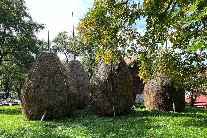 Peles castle and authentic Romanian village experience - day trip - Practical Tips for Travelers