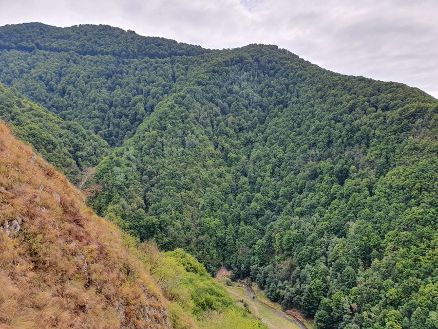 Peleș Castle, Bran Castle, and Brașov City - Private Tour - Brașov City Exploration