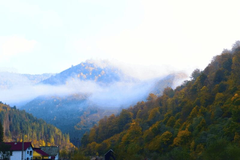 Peles Castle &Carpathian:Royal Journey Through the Mountains - An In-Depth Look at the Experience