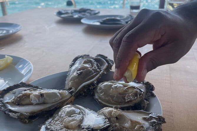 Peljeac - Wine, Oysters and Food Experience from Dubrovnik - Easy Pickup and Personal Touch