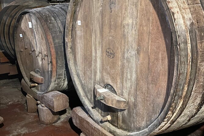 Peljeac - Wine, Oysters and Food Experience from Dubrovnik - Ston and the Salt Factory