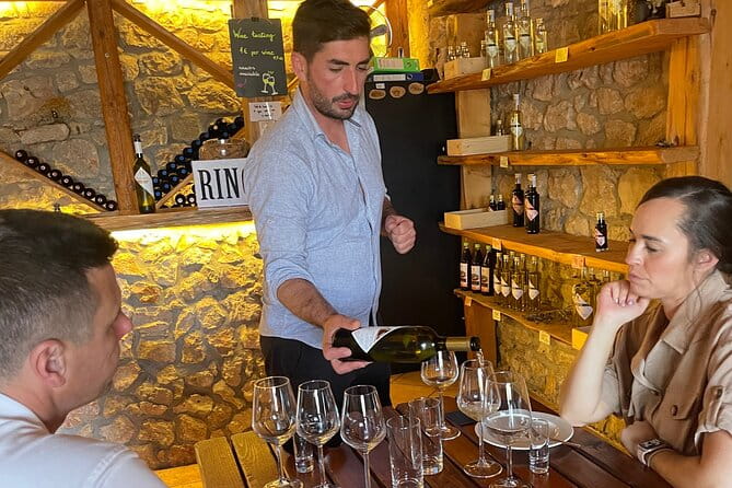 Peljeac - Wine, Oysters and Food Experience from Dubrovnik - Second Winery & Cellar Tour