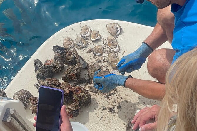 Peljeac - Wine, Oysters and Food Experience from Dubrovnik - Spectacular Panoramic View from Mount Srd