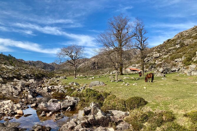 Peneda-Gerês Hiking & Sightseeing: Private Experience - Private and Hassle-Free Experience