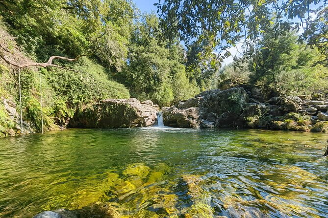 Peneda - Gerês National Park Lagoons and Waterfalls Tour - The Gastronomic Touch: Regional Picnic