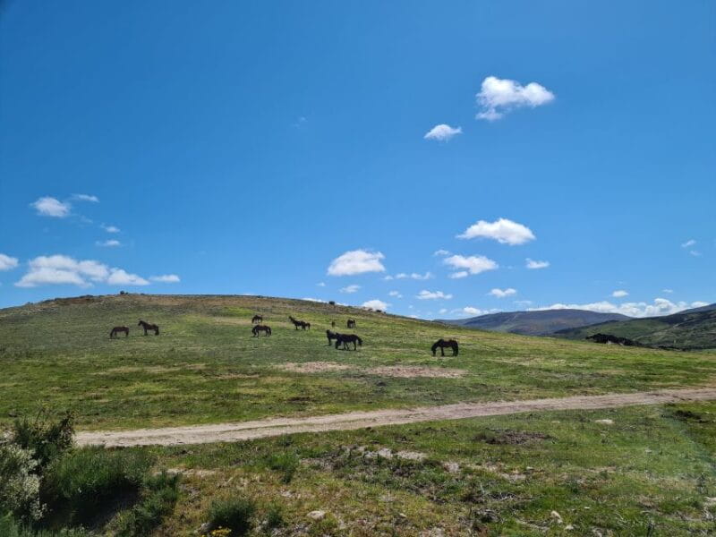 Peneda Gerês National Park: Self-Guided Electric Bike Tour - An Honest Look at the Experience