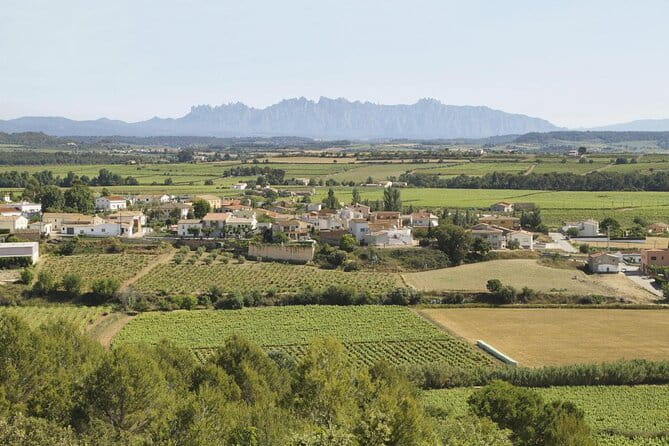 Penedes and Cava Winery Small Group Tour - Key Points and Takeaways