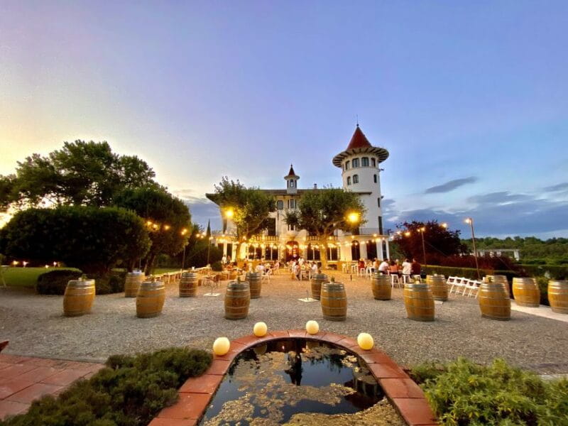 Penedès: Discovery Tour with Cava Tasting - A Deep Dive into the Cava Tour Experience