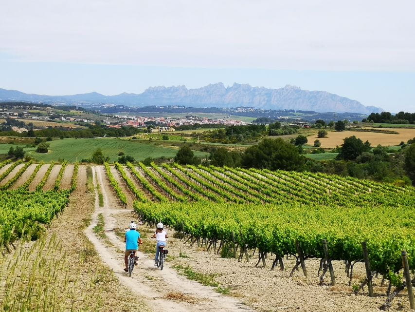 Penedès: Self-Guided Bike Tour With Winery Visit - Key Points