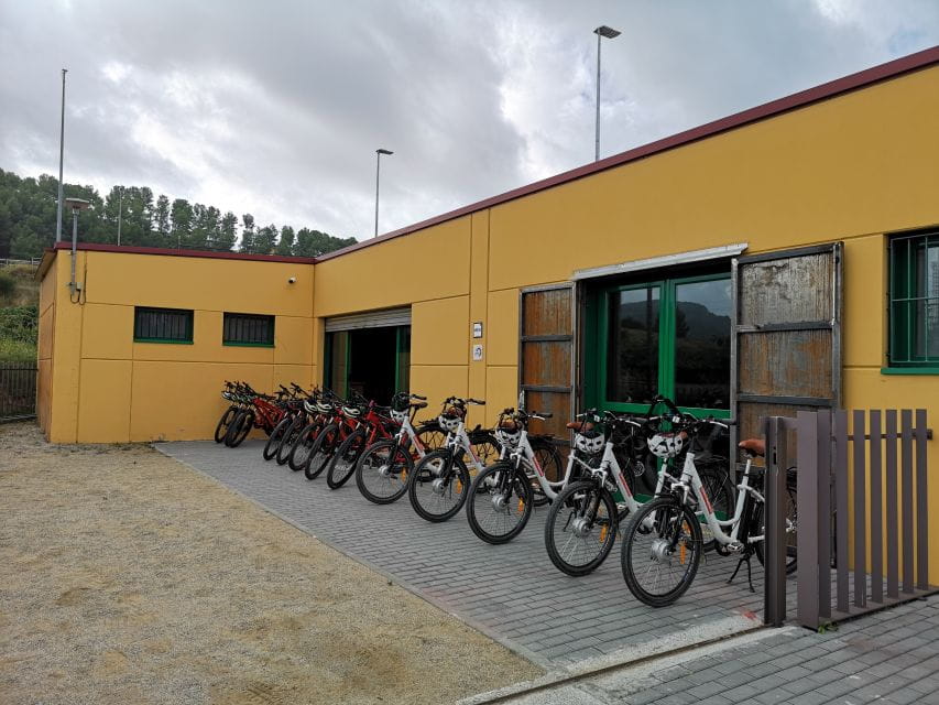 Penedès: Self-Guided Bike Tour With Winery Visit - Pricing and Booking