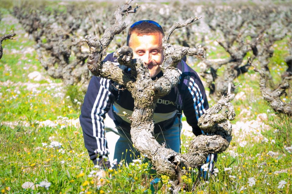 Penedès: Self-Guided Bike Tour With Winery Visit - Cycling Experience