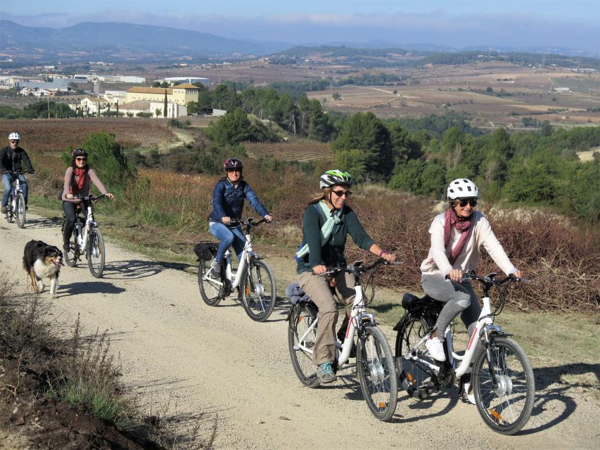 Penedès: Self-Guided Bike Tour With Winery Visit - Winery Visit